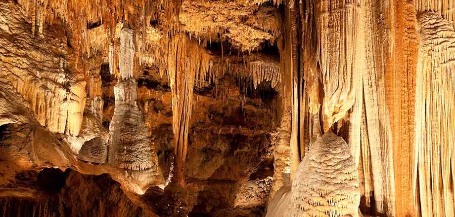 Visit the caves in the region