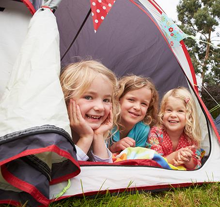 Pitches for tents at les Amandiers campsite in the Hérault in Castelnau de Guers