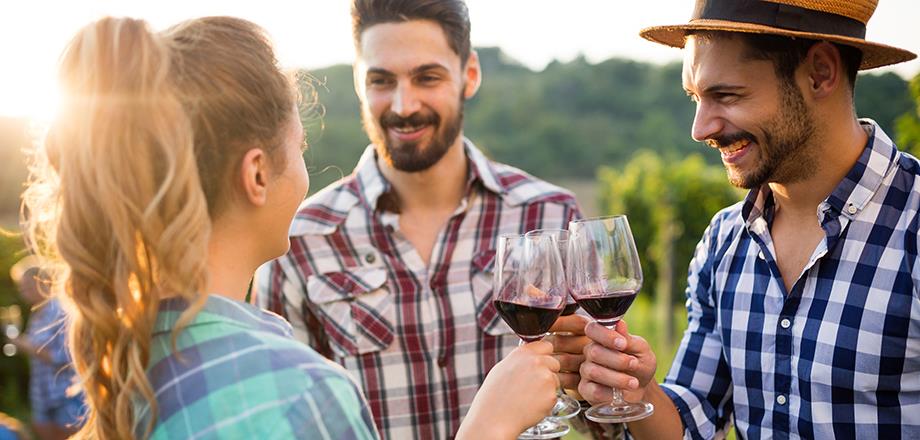 Discover the wine tourism activities during your stay at the campsite Les Amandiers in Castelnau de Guers.