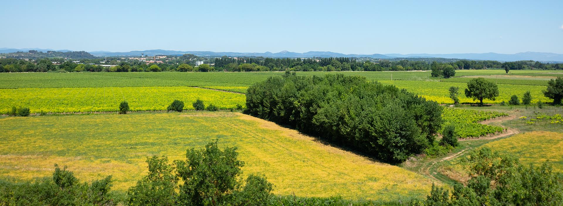 Ponerse en contacto con el camping les Amandiers cerca de Pézenas