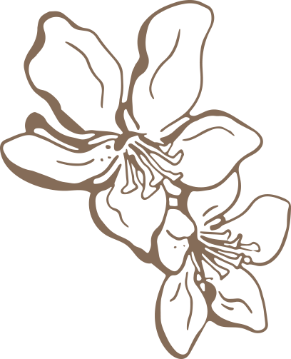 Flores de almendro, emblema del camping